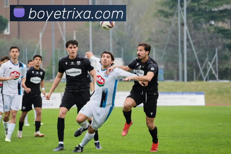 App Interface Preview